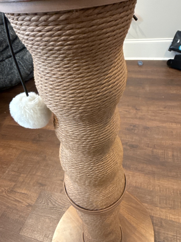 image.jpg