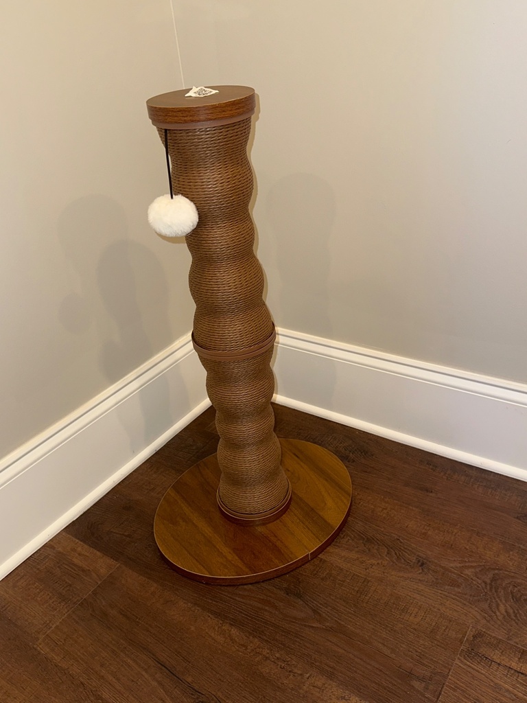 image.jpg