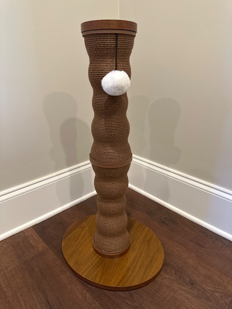 image.jpg
