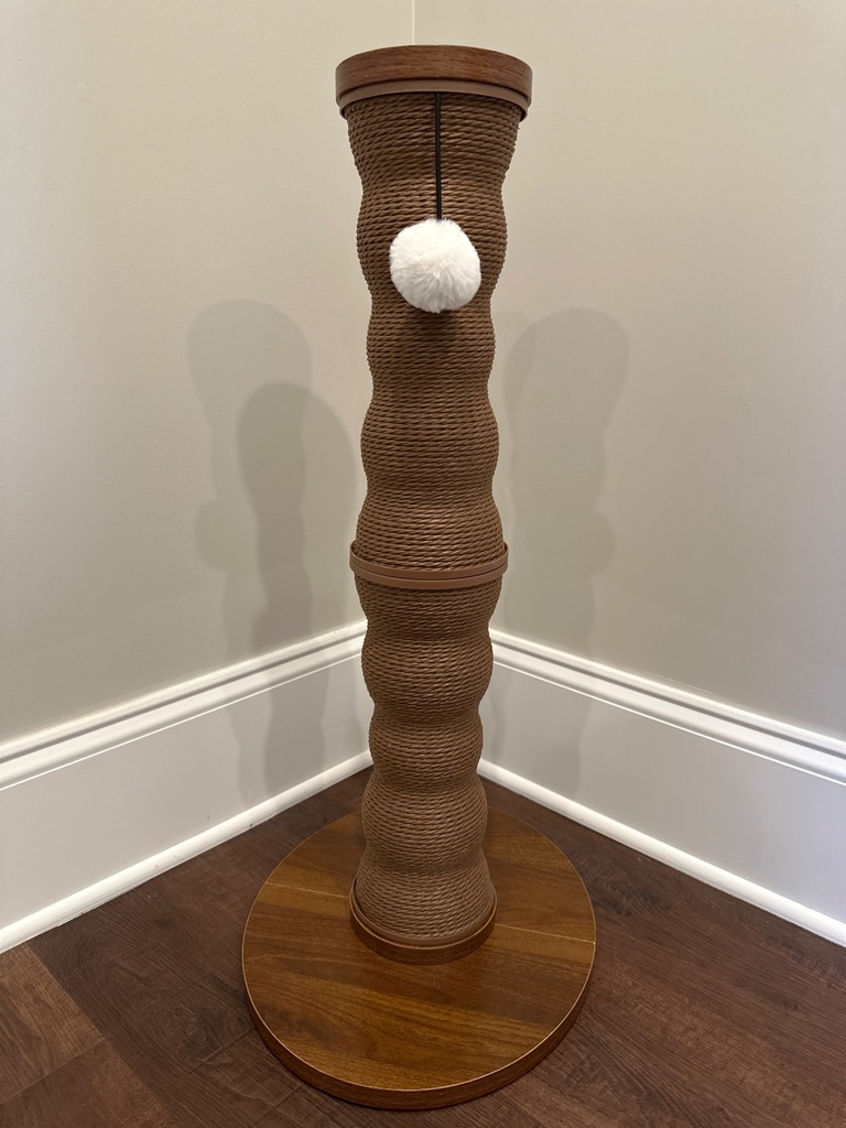 image.jpg