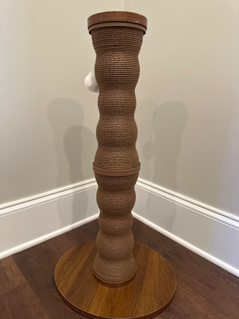 image.jpg