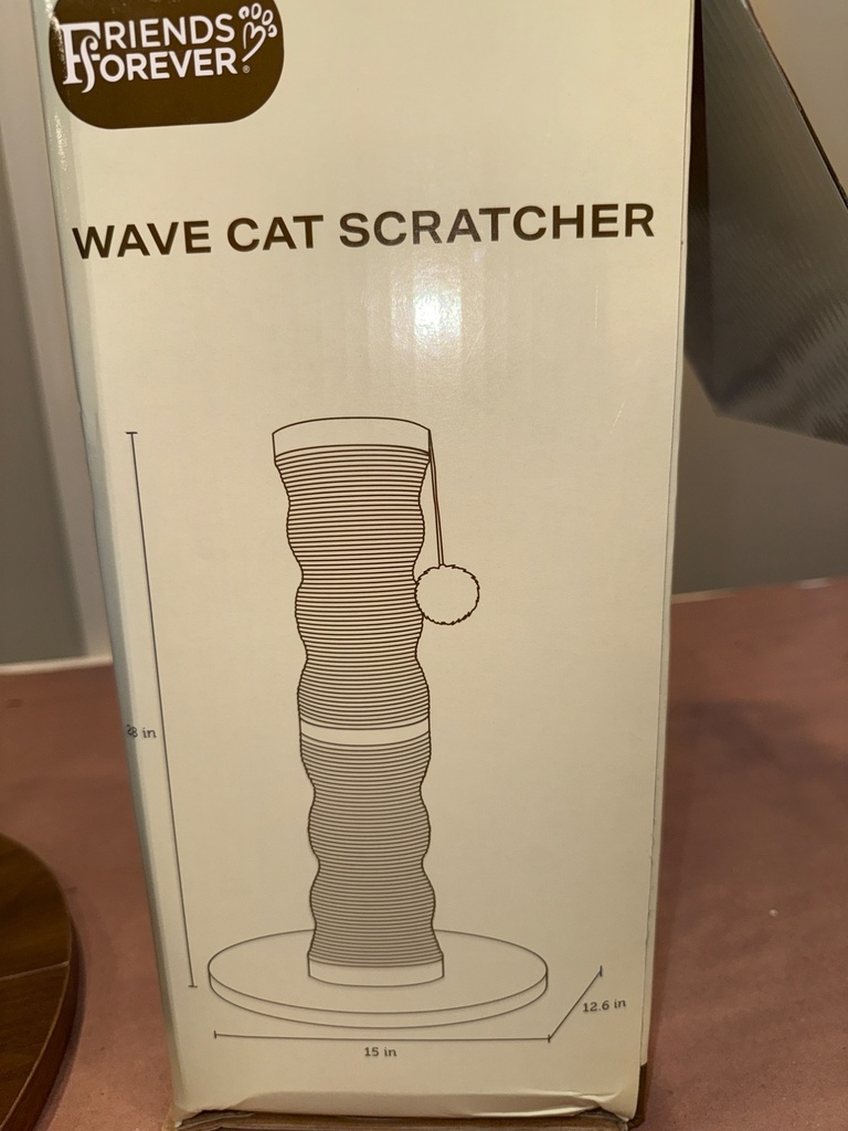 image.jpg