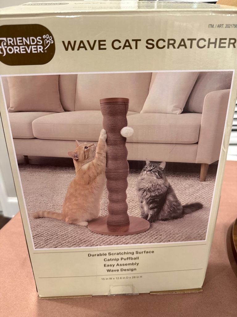 image.jpg