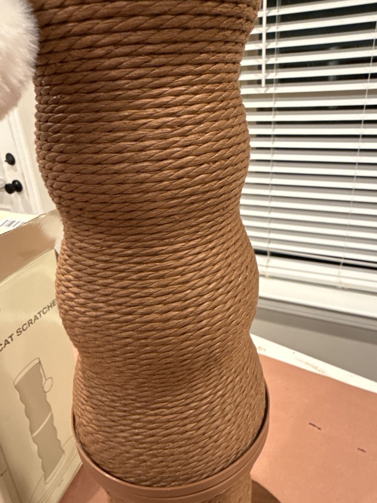 image.jpg