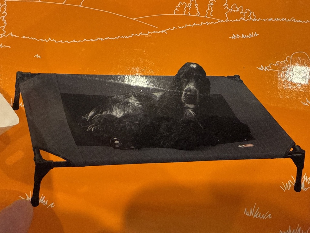 Cot shown on box art