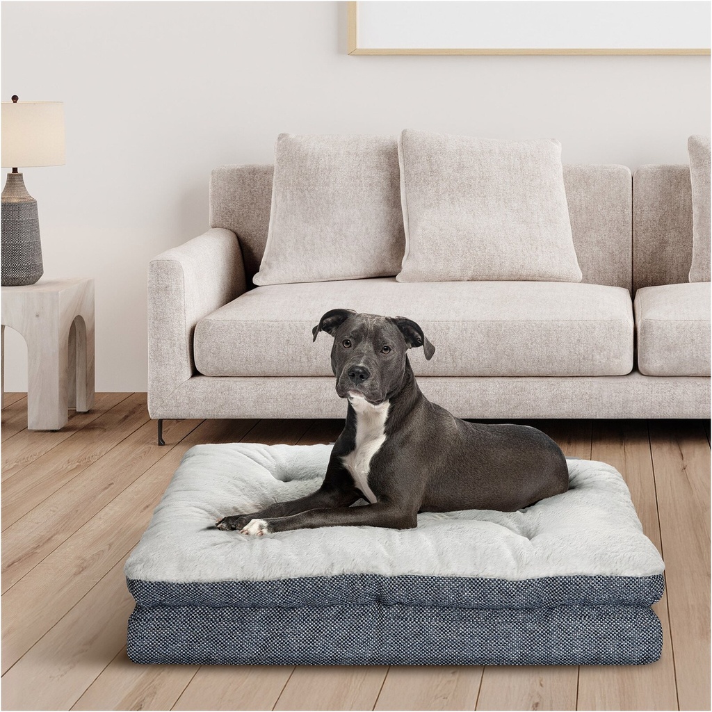 Stock photo - lifestyle with dog