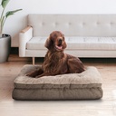 Stock photo - lifestyle with dog