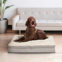 Stock photo - lifestyle with dog