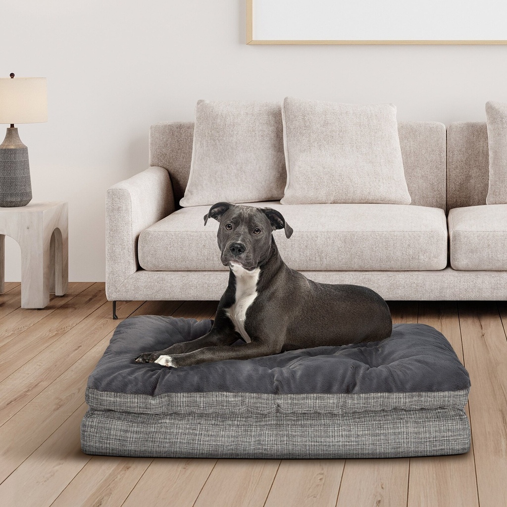 Stock photo - lifestyle with dog