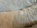 Plush sleep surface detail